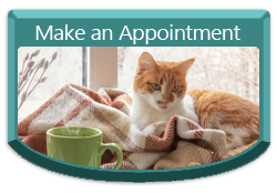 Make an appointment button